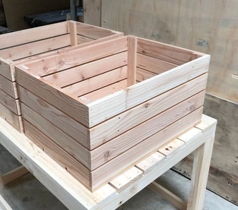 Xử lý nhiệt và hun trùng pallet: khác biệt và khi nào nên dùng?